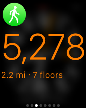 pedometer