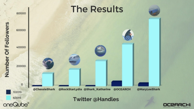 OCEARCH's most popular sharks on Twitter