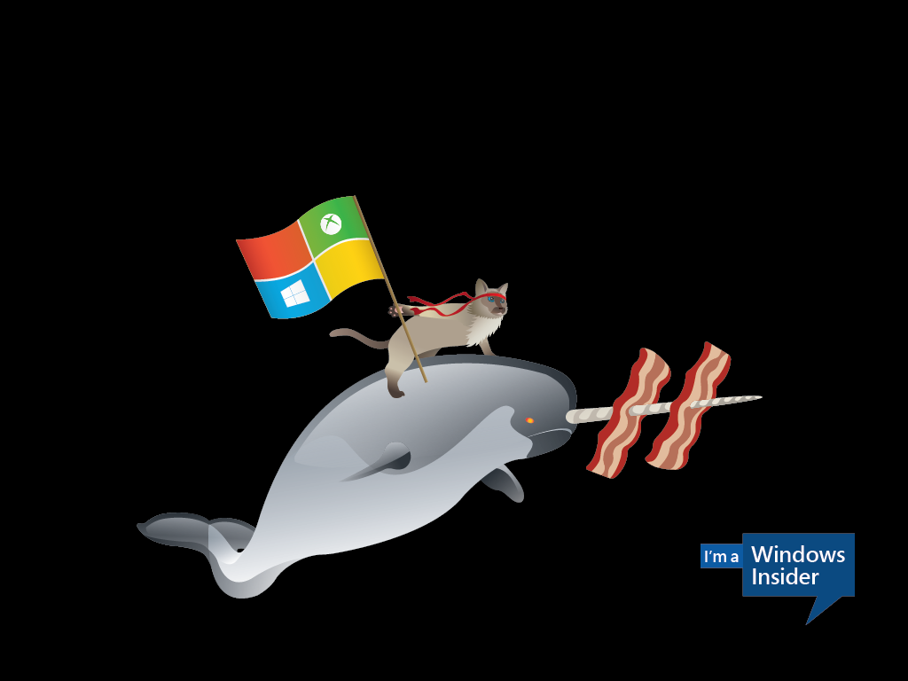Celebrate The Windows 10 Ninjacat Meme With New Microsoft