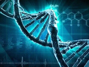 700,000 reasons to implement object storage in a research environment