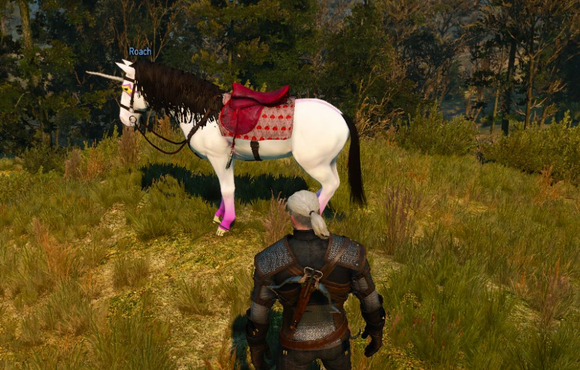 Witcher 3 mods