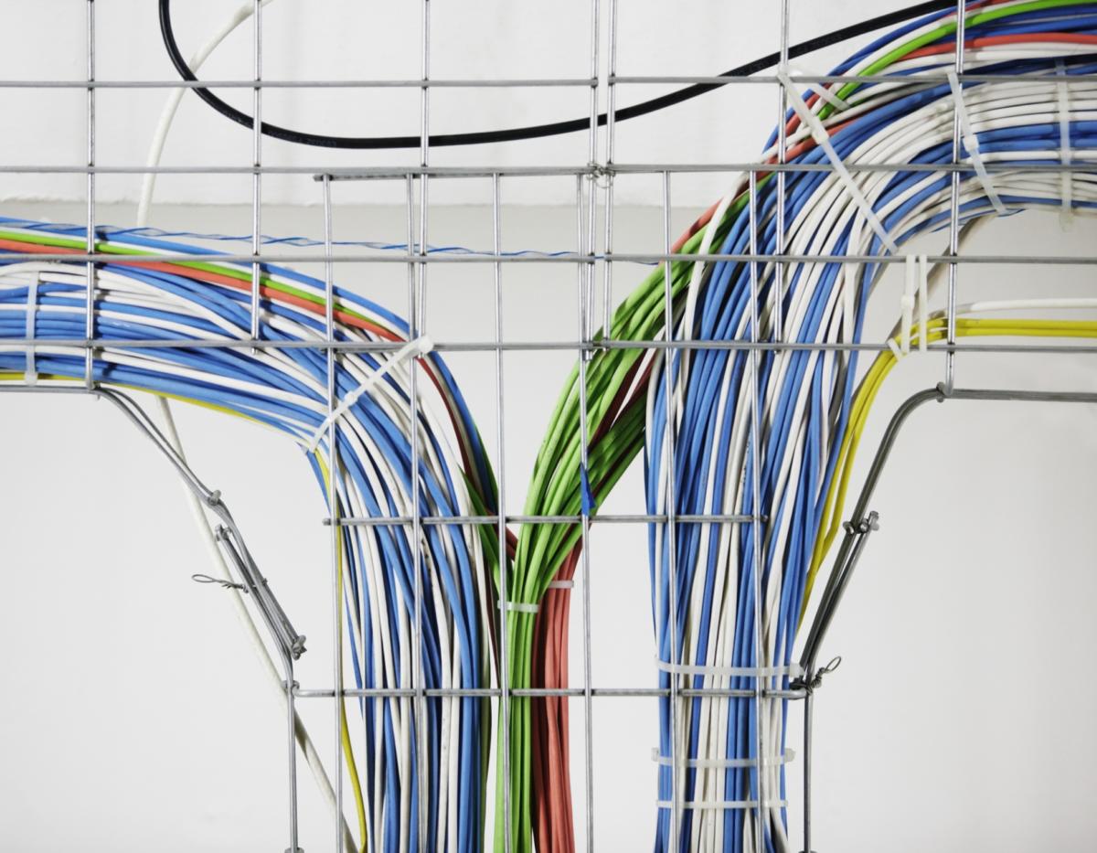 colorful network cables