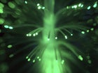 Fiber bandits: FBI hunting serial fiber-cutting vandals in California