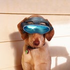 Smart glasses are making workers more productive