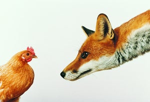 7 negotiation tactics that are futile in cloud renewals