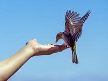 Does your audience trust you and your body language?