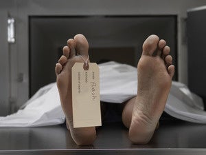 5 takeaways from Adobe Flash’s death march