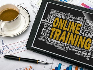 MOOCs put a new spin on professional development