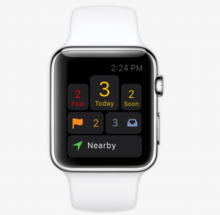 omnifocus for apple watch pro