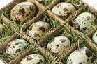 Too many desktop eggs in one cloud basket?