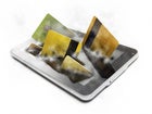 Smartphone mobile payments: An end-of-year level-set