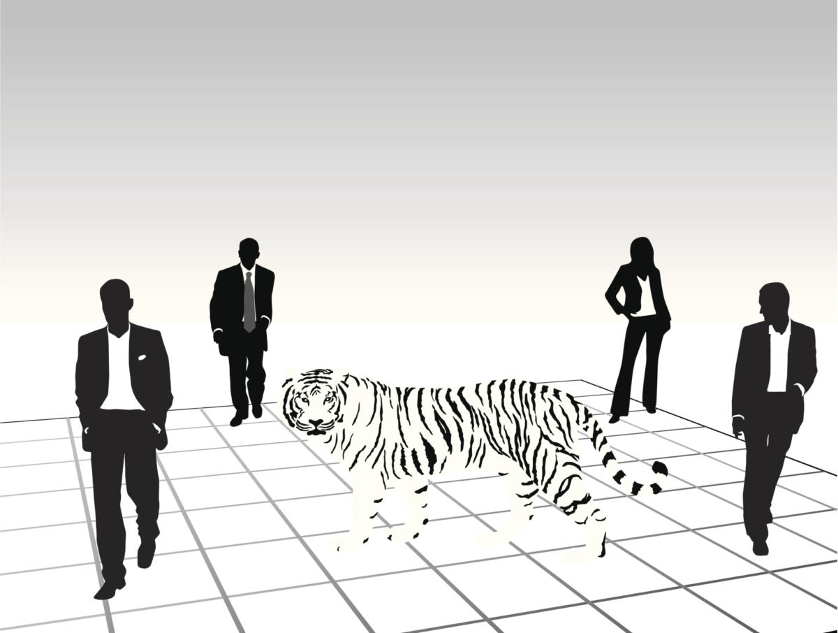 tiger it team ts