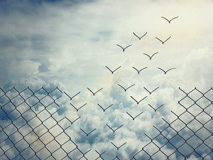 Can training transform CISOs into business leaders?
