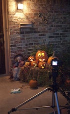 143578 pumpkin setup original