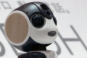 sharp robohon