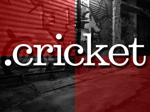 5 cricket