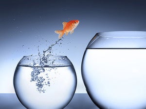 What it takes to be a successful CISO