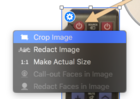napkin review image popup menu