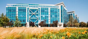 synack headquarters