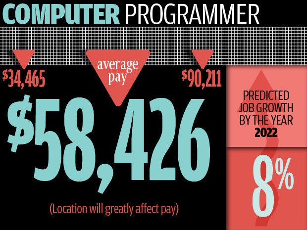 Computer programmer