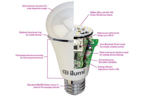 Bulb cross-section labeled