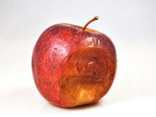 The end of Apple? The early signs may be in