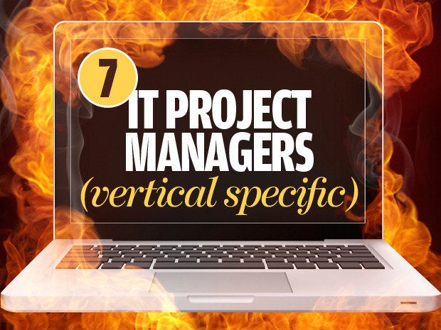 IT project managers (vertical specific)