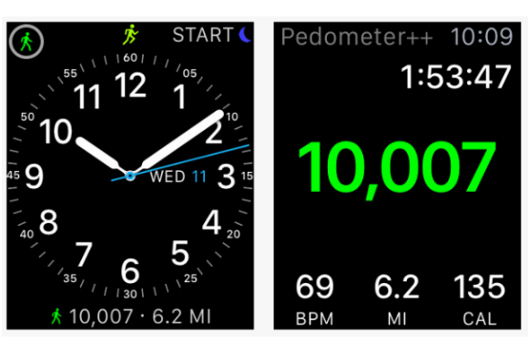 pedometeraw