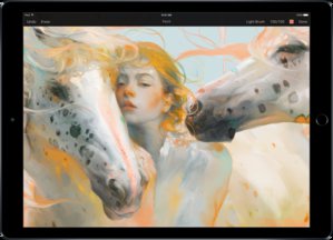 pixelmator on ipad pro apple pencil support