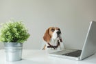 The best free data science courses during lockdown