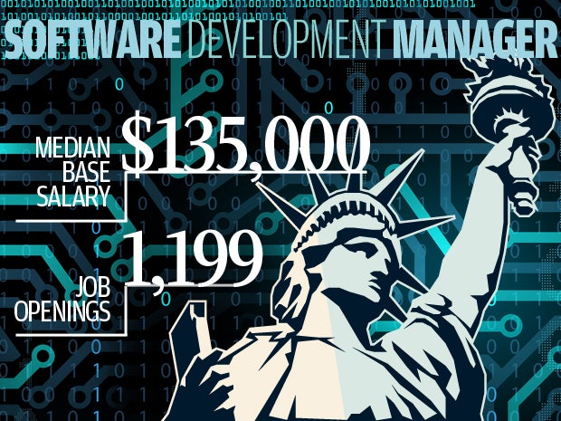 7. Software development manager