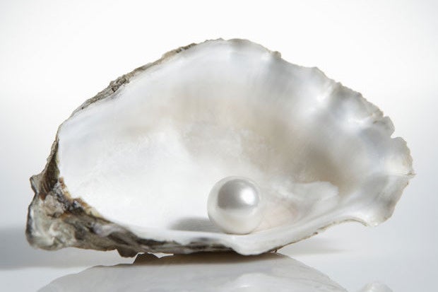 pearl oyster shell treasure jewel gem
