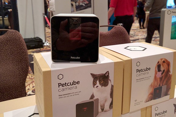 petcube for cats