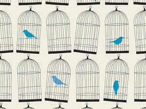 Twitter official says 'Automate or die'