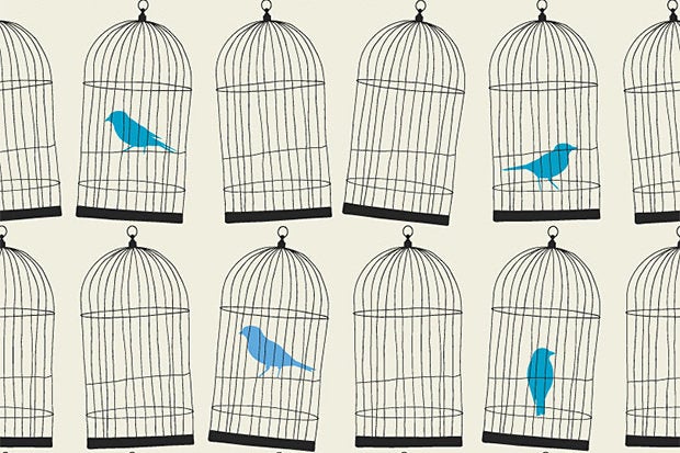 twitter cages