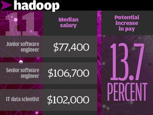 11. Hadoop 13.7%