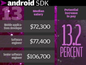 13. Android SDK 13.2%