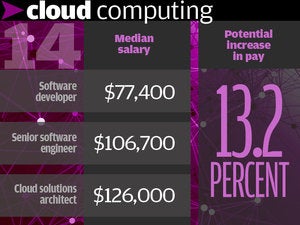 14.	Cloud computing 13.2%