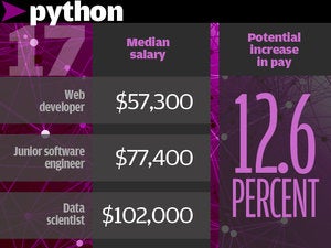 17.	Python 12.6%