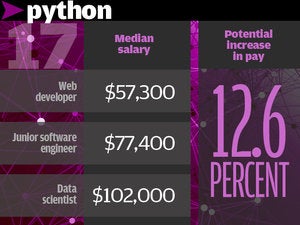 17. Python 12.6%