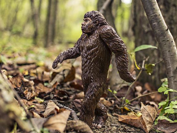 bigfoot myth