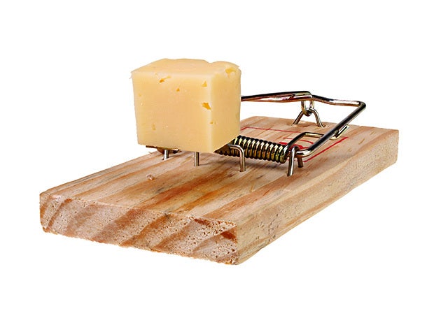 mousetrap cheese