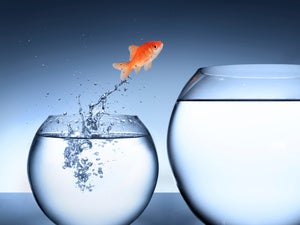 Platforms not products transform organizations