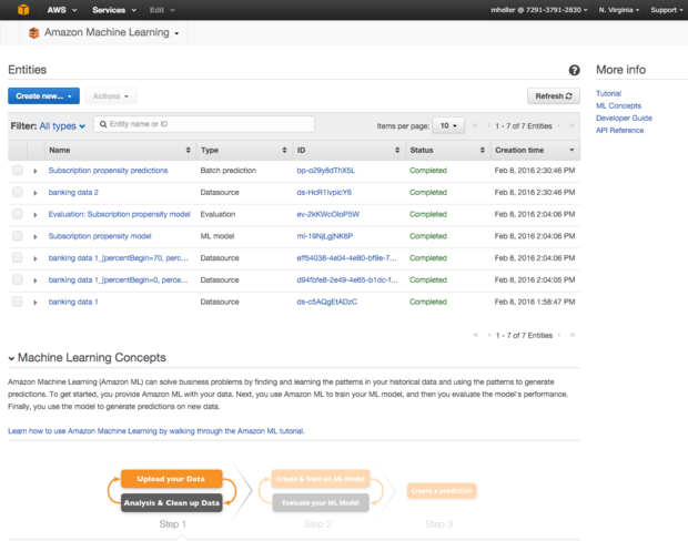 amazon ml entities