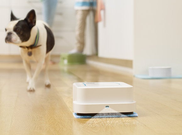 braava jet kitchen dog cropped
