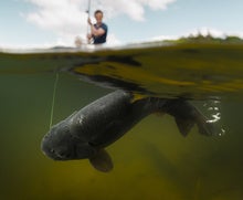 Fishing for Better Big Data Insights with an Intelligent Data Lake
