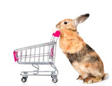 How the Easter Bunny Ensures Supply Chain Traceability