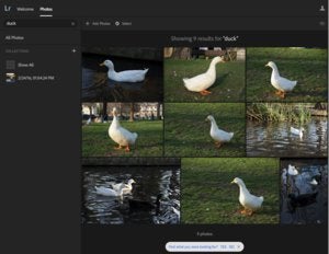 lightroomsearch4