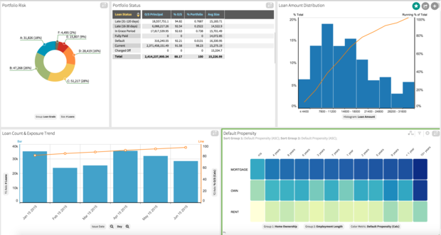data visualization loans