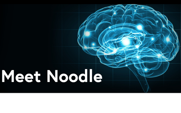 Noodle Analytics Noodle.ai Stephen Pratt AI data science